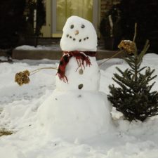 Snowman in the garden